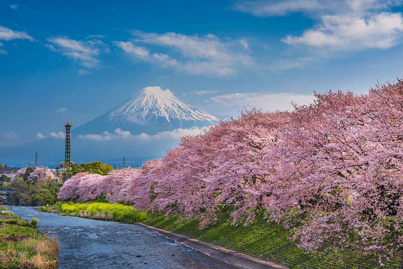 Unlimited Data in Japan on KDDI's Local Network